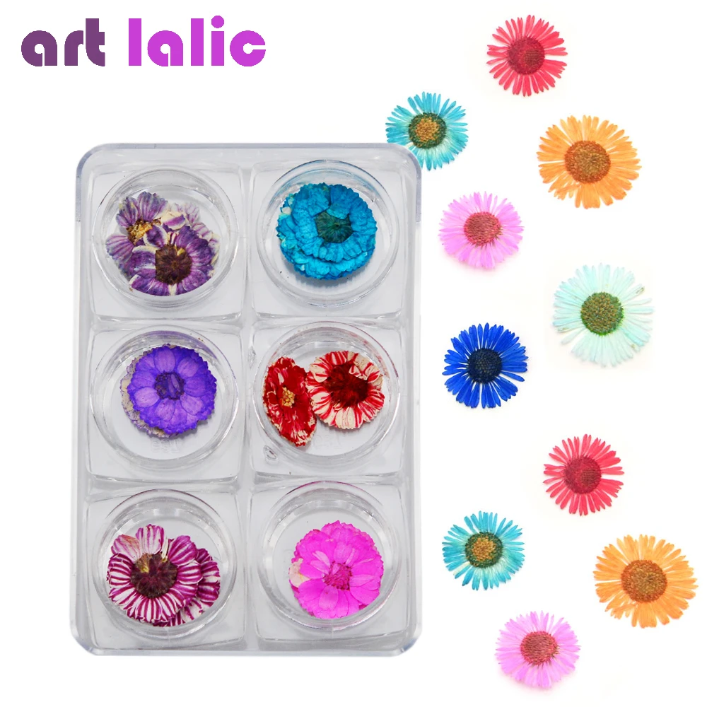12Pcs/set Dried Flower Daisy Flowers Real for Nail Art Decorations Natural Stickers UV Gel Acrylic Nail Manicure
12Pcs/set Dried Flower Daisy Flowers Real for Nail Art Decorations Natural Stickers UV Gel Acrylic Nail Manicure