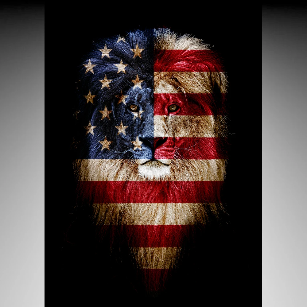 Portrait of a Beautiful lion, lion in dark. Portrait of a leader. king. Portrait of a lion with a projection of the flag of the United States. Patriot of his country