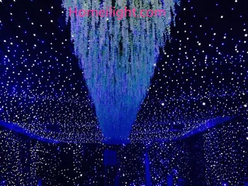 Free Shipping 3mx6m Double Decker Fireproof Velvet BW LED Star Curtain with Controller
Free Shipping 3mx6m Double Decker Fireproof Velvet BW LED Star Curtain with Controller