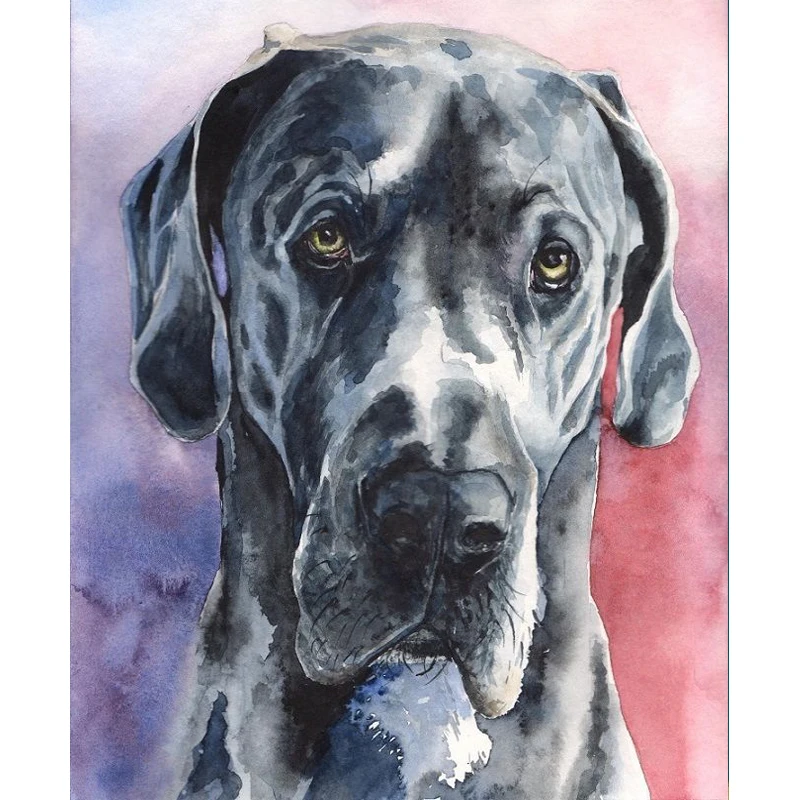 Diamond Painting Photo Great Dane Painting Cross Stitch Full Round Dog Picture Rhinestone DIY Diamond Mosaic Diamond Embroidery
Diamond Painting Photo Great Dane Painting Cross Stitch Full Round Dog Picture Rhinestone DIY Diamond Mosaic Diamond Embroidery
