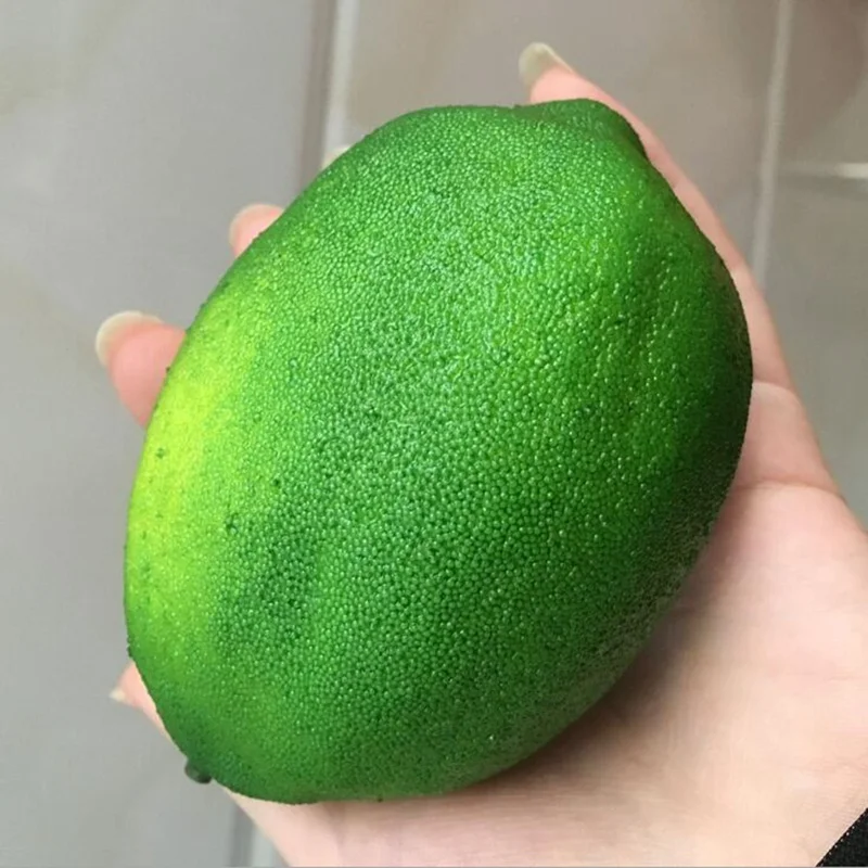 Fruit Green Yellow PC Artificial Family Kitchen Decoration Kindergarten Garden Simulation Fruit Lemon Handwork DIY
Fruit Green Yellow PC Artificial Family Kitchen Decoration Kindergarten Garden Simulation Fruit Lemon Handwork DIY