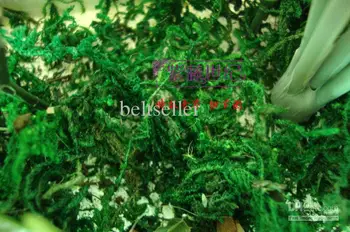 High Simulation green moss artificial flower artificial Green Plants garden decor 300g/lot Free shipping
High Simulation green moss artificial flower artificial Green Plants garden decor 300g/lot Free shipping