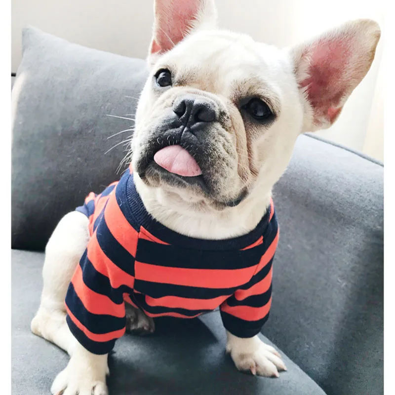 Dog Clothes for Small Dogs Cotton Sweater for French Bulldog Striped Dog Clothing for Chihuahua Pet Puppy Costume for Yorkshire
Dog Clothes for Small Dogs Cotton Sweater for French Bulldog Striped Dog Clothing for Chihuahua Pet Puppy Costume for Yorkshire
