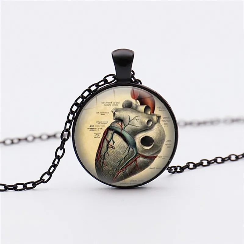 Anatomical Heart Necklace Pendant Steampunk Necklace Gothic Necklaces Science Pendants Biology Medical Teacher's Student Gift
Anatomical Heart Necklace Pendant Steampunk Necklace Gothic Necklaces Science Pendants Biology Medical Teacher's Student Gift