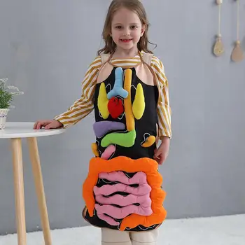 New Educational Insights Toys For Children Anatomy Apron Human Body Organs Awareness Preschool Science Home School Teaching Aids
New Educational Insights Toys For Children Anatomy Apron Human Body Organs Awareness Preschool Science Home School Teaching Aids
