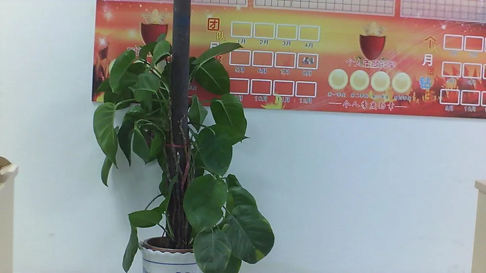 720p with 8mm lens at about 4m -1