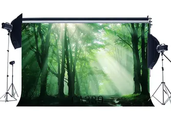 Photography Backdrops Halloween Horror Night Mysterious Forest Sunshine Scene Masquerade Portraits Photo Background
Photography Backdrops Halloween Horror Night Mysterious Forest Sunshine Scene Masquerade Portraits Photo Background