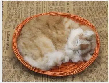 WYZHY simulation animal sleeping cat ornaments static toy model photography window props children early education
WYZHY simulation animal sleeping cat ornaments static toy model photography window props children early education