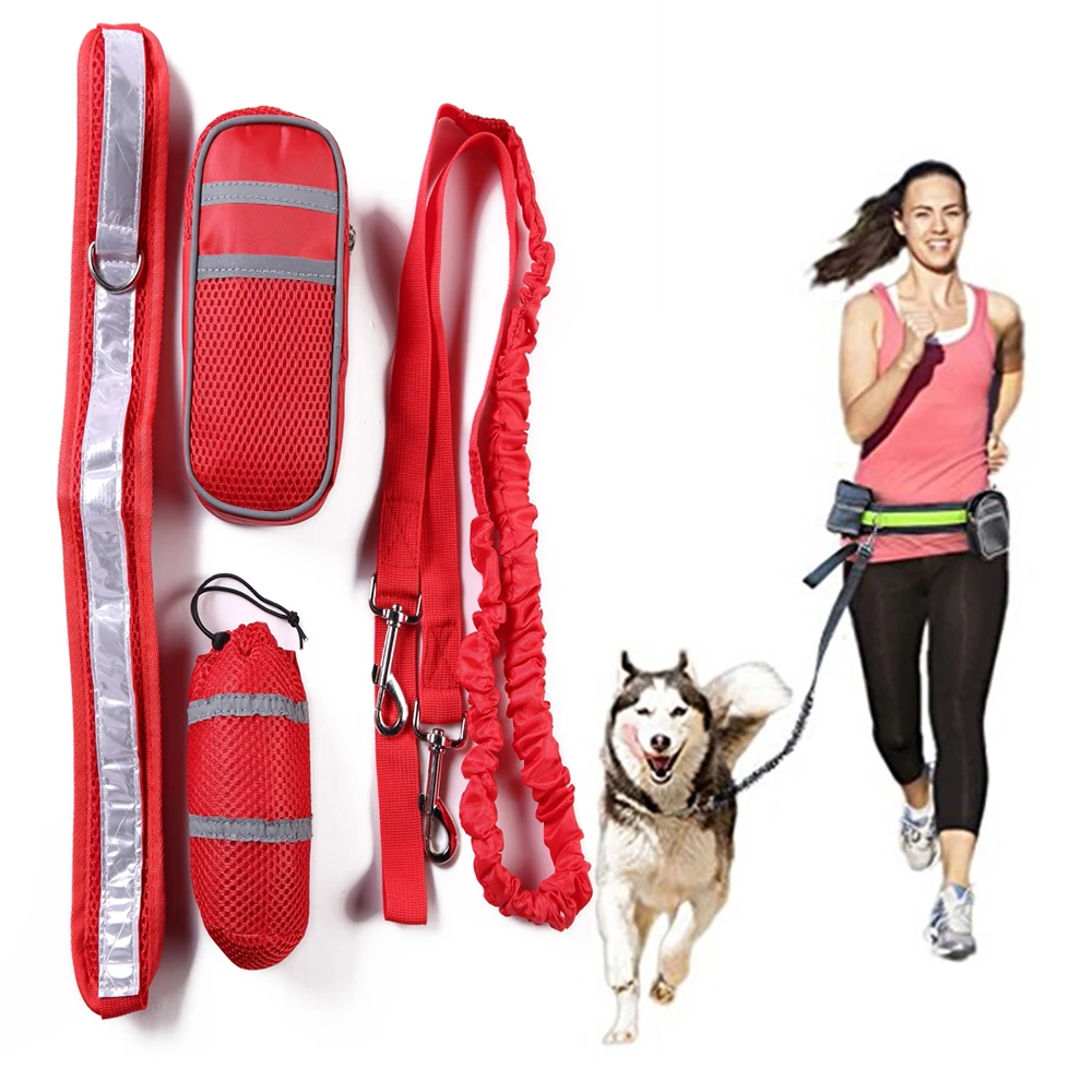 Pet Dog Cat Running Waist Belt Reflective Strip Elastic Leash Perfect Walking Training Dog Leash
Pet Dog Cat Running Waist Belt Reflective Strip Elastic Leash Perfect Walking Training Dog Leash