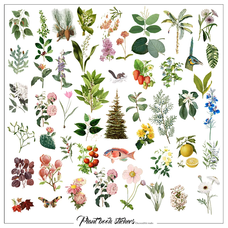 KSCRAFT 50pcs Flowers Plants Illustration Vellum Paper Stickers Scrapbooking/Card Making/Journaling Project DIY
KSCRAFT 50pcs Flowers Plants Illustration Vellum Paper Stickers Scrapbooking/Card Making/Journaling Project DIY