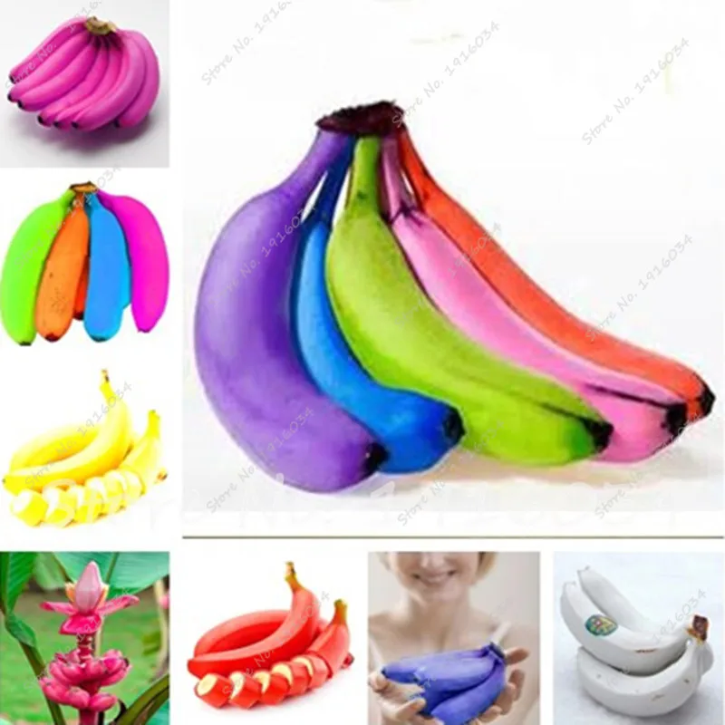 Hot sale 100 pcs/bag rare double Potted banana garden bonsai tree Organic fruit flores mini/giant dwarf banana plant for home
Hot sale 100 pcs/bag rare double Potted banana garden bonsai tree Organic fruit flores mini/giant dwarf banana plant for home