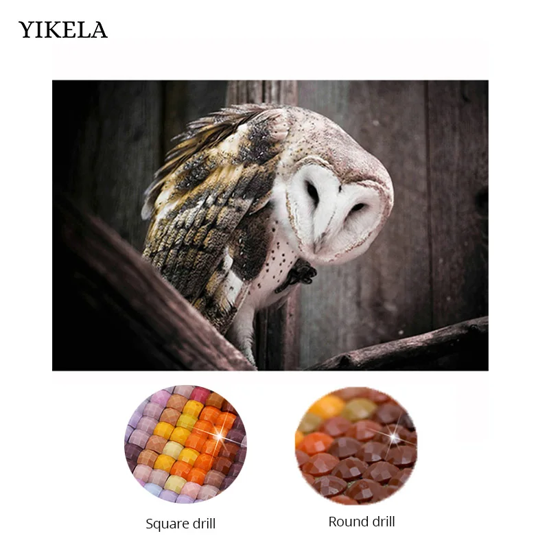 Full Square Drill 5D DIY Diamond Painting "Animal Owl" Embroidery Cross Stitch 5D Bird Photo Picture Home Decor Gift
Full Square Drill 5D DIY Diamond Painting "Animal Owl" Embroidery Cross Stitch 5D Bird Photo Picture Home Decor Gift