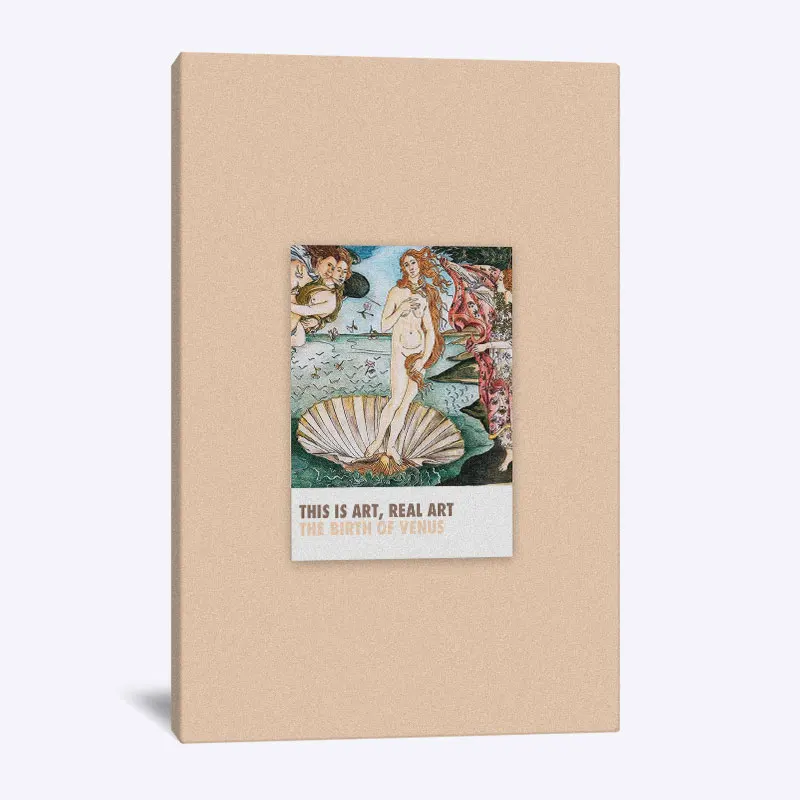 The birth of venus fun art Home Kids Baby living Room Bedroom Decor Print Poster Picture Painting Wall Art Canvas
The birth of venus fun art Home Kids Baby living Room Bedroom Decor Print Poster Picture Painting Wall Art Canvas