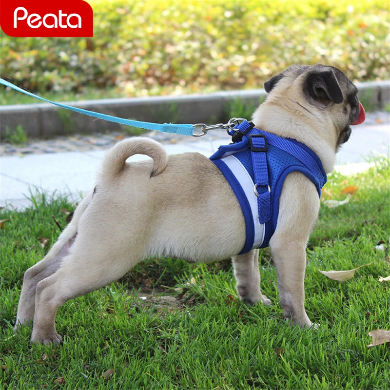 Small Dogs Collars Harnesses No Pull with Leash Rope Set Small Medium Dog Pet Puppy Reflective Vest Harnesses Chest for Back Y
Small Dogs Collars Harnesses No Pull with Leash Rope Set Small Medium Dog Pet Puppy Reflective Vest Harnesses Chest for Back Y