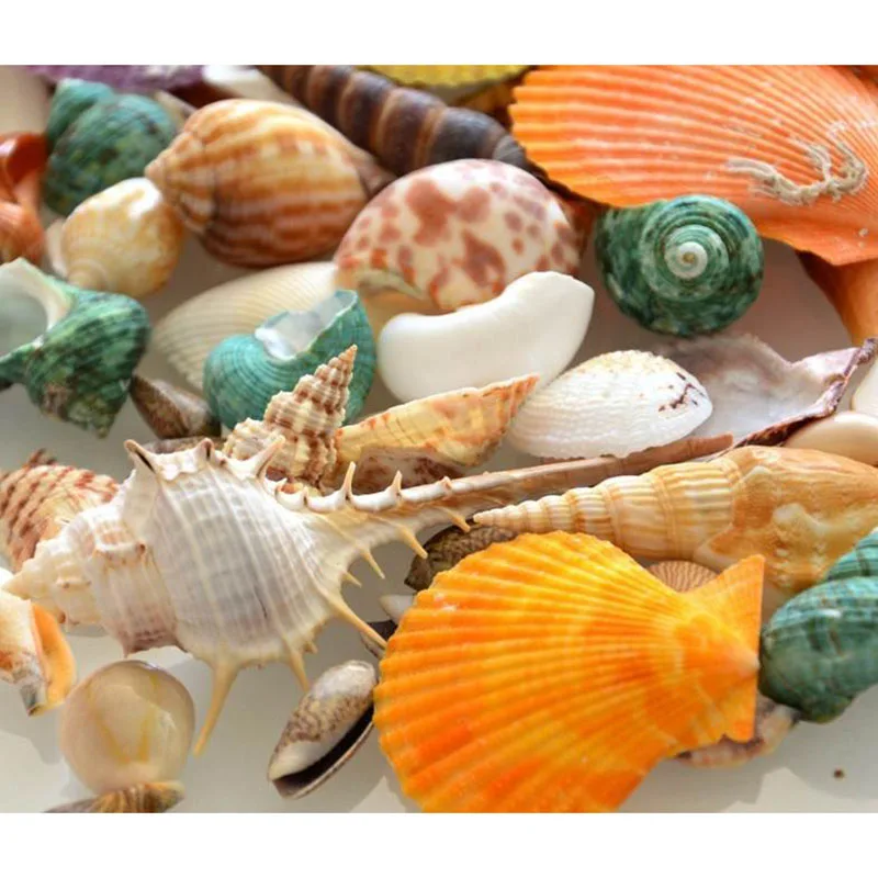 HOT 100g Sea Beach Shells Mixed Fish Tank Aquarium Landscape Decoration Durable Craft NDS66 | Дом и сад