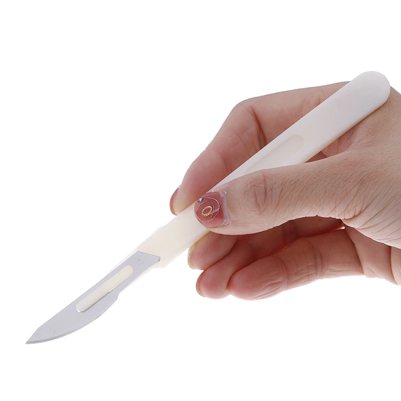 1pc Western-style Curved Bread Knife Baguette Cutting French Cutter Toast Slicer With Blade Kitchen Baking Pastry Tools
1pc Western-style Curved Bread Knife Baguette Cutting French Cutter Toast Slicer With Blade Kitchen Baking Pastry Tools