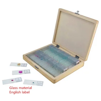 FGHGF XC-50 Biosection Specimen Animal Plant Cell Specimen Microscope Specimen 50 PCS Glass Slice Teaching Supplies
FGHGF XC-50 Biosection Specimen Animal Plant Cell Specimen Microscope Specimen 50 PCS Glass Slice Teaching Supplies