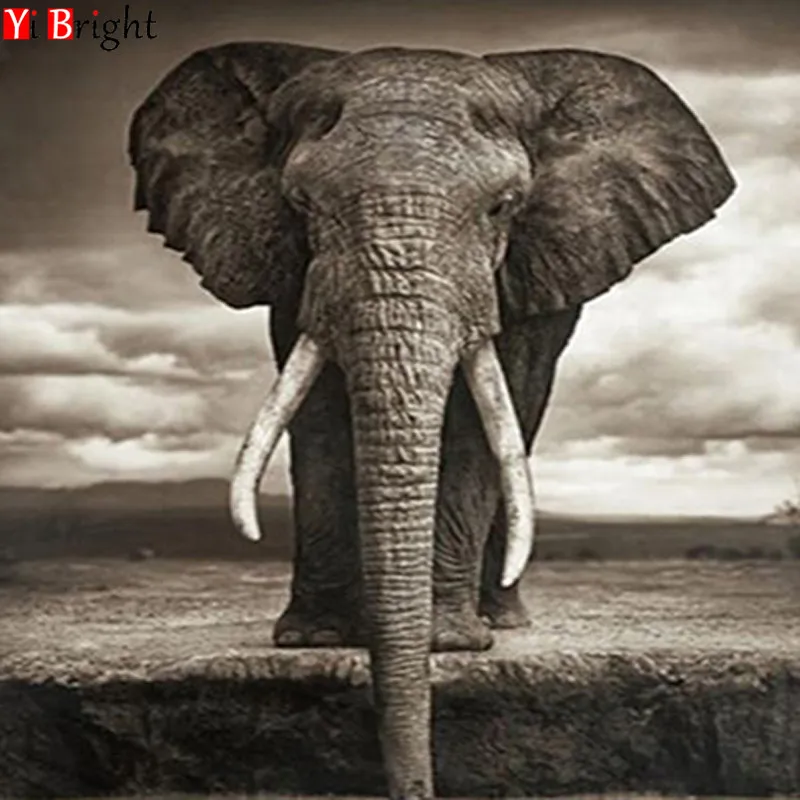 full square diamond embroidery cross-stitch animal Elephant full diamond inlaid 3D DIY diamond painting home decoration XY1
full square diamond embroidery cross-stitch animal Elephant full diamond inlaid 3D DIY diamond painting home decoration XY1