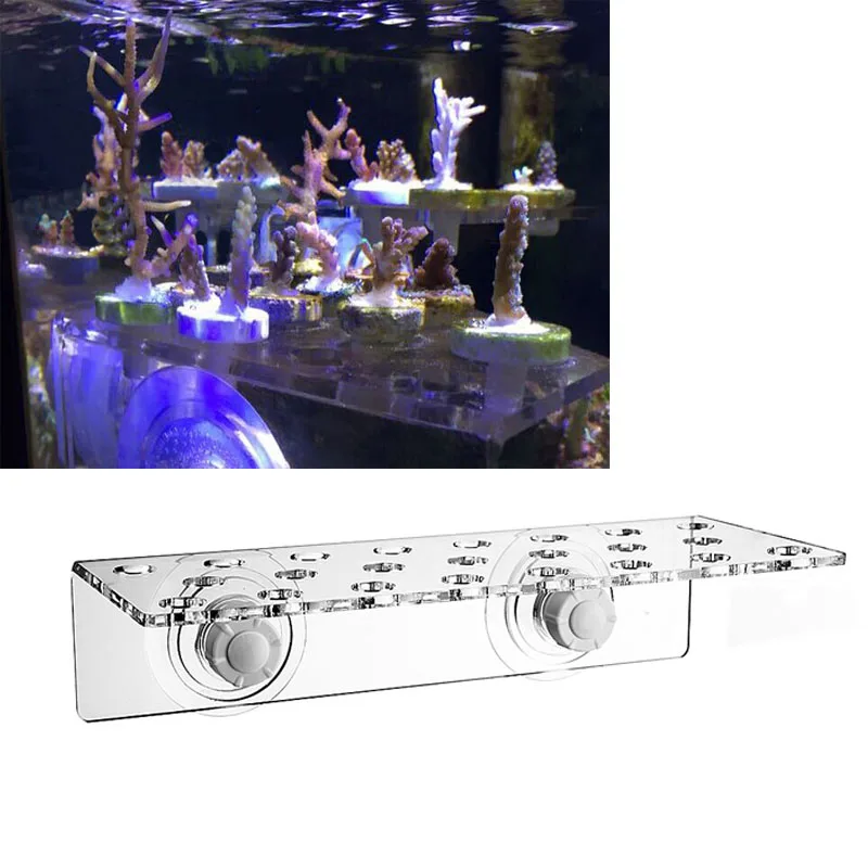 Coral SPS bracket button broken limb seat SPS button frame .Seawater coral aquarium coral mount
Coral SPS bracket button broken limb seat SPS button frame .Seawater coral aquarium coral mount