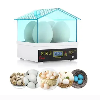 Digital Temperature Control Small Brooder 4 Mini Hatchery Eggs Incubator Hatcher for Chicken Duck Bird Children Science Toy
Digital Temperature Control Small Brooder 4 Mini Hatchery Eggs Incubator Hatcher for Chicken Duck Bird Children Science Toy