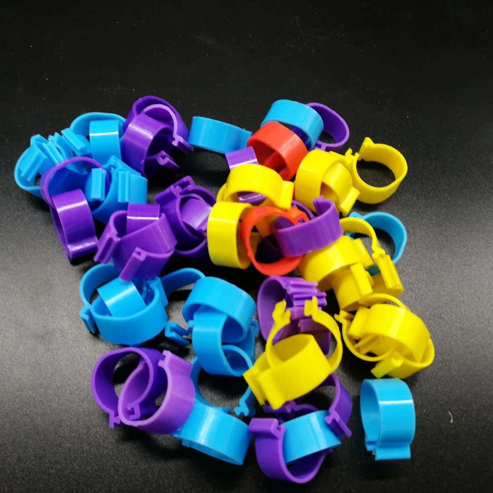 Inside diameter 2.0cm Chicken foot ring Duck Goose Bird Quail Poultry Hen Ring Poultry portable device High 1cm 200 pcs
Inside diameter 2.0cm Chicken foot ring Duck Goose Bird Quail Poultry Hen Ring Poultry portable device High 1cm 200 pcs