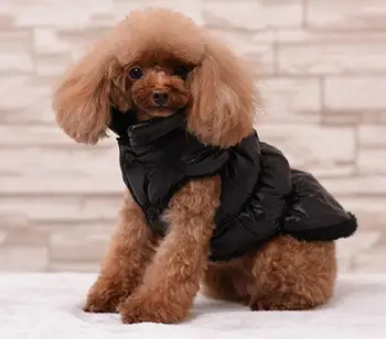 XS-3XL small large dog clothes pet Down coat pet apparel Wholesale dog Winter Clothing for pets cheap pet Clothes for Chihuahua
XS-3XL small large dog clothes pet Down coat pet apparel Wholesale dog Winter Clothing for pets cheap pet Clothes for Chihuahua