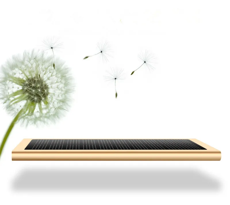 3602233260_1470624074