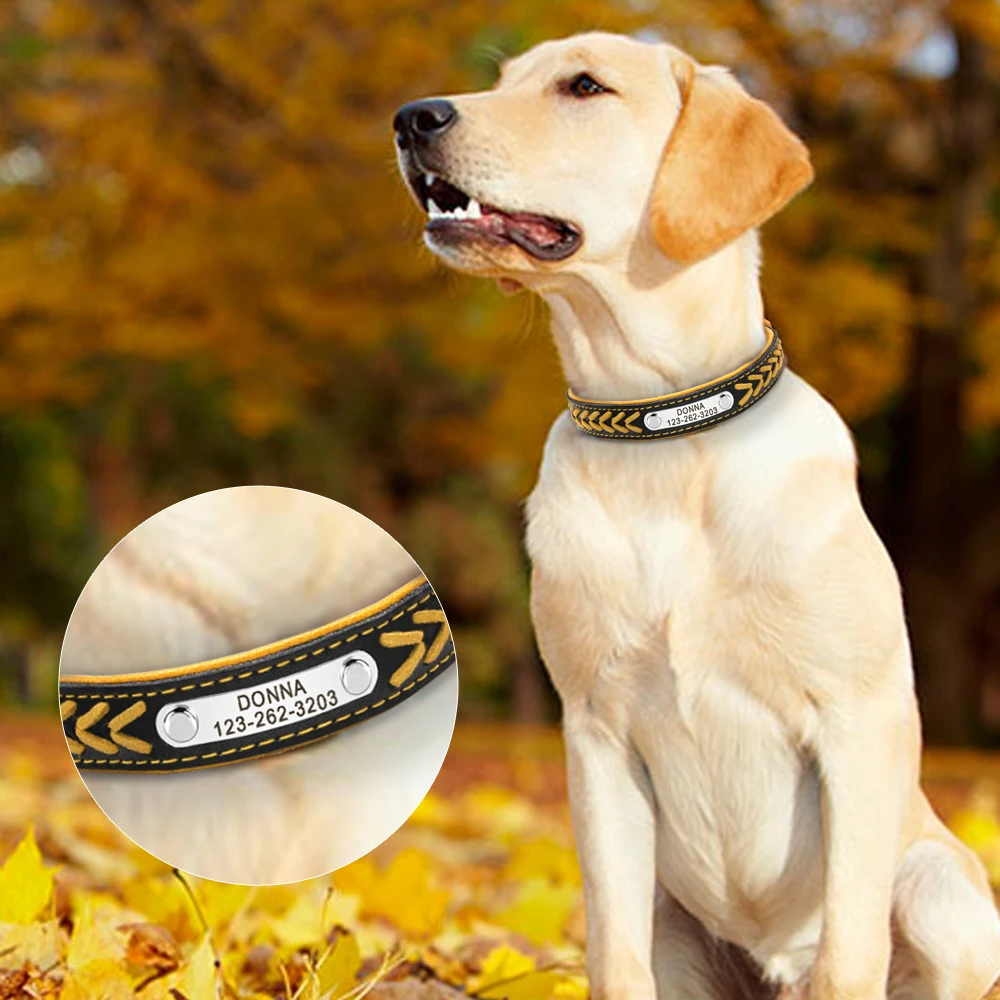 Personalized Dog Collar with Engraved Tag - Adjustable for Small to Large Dogs