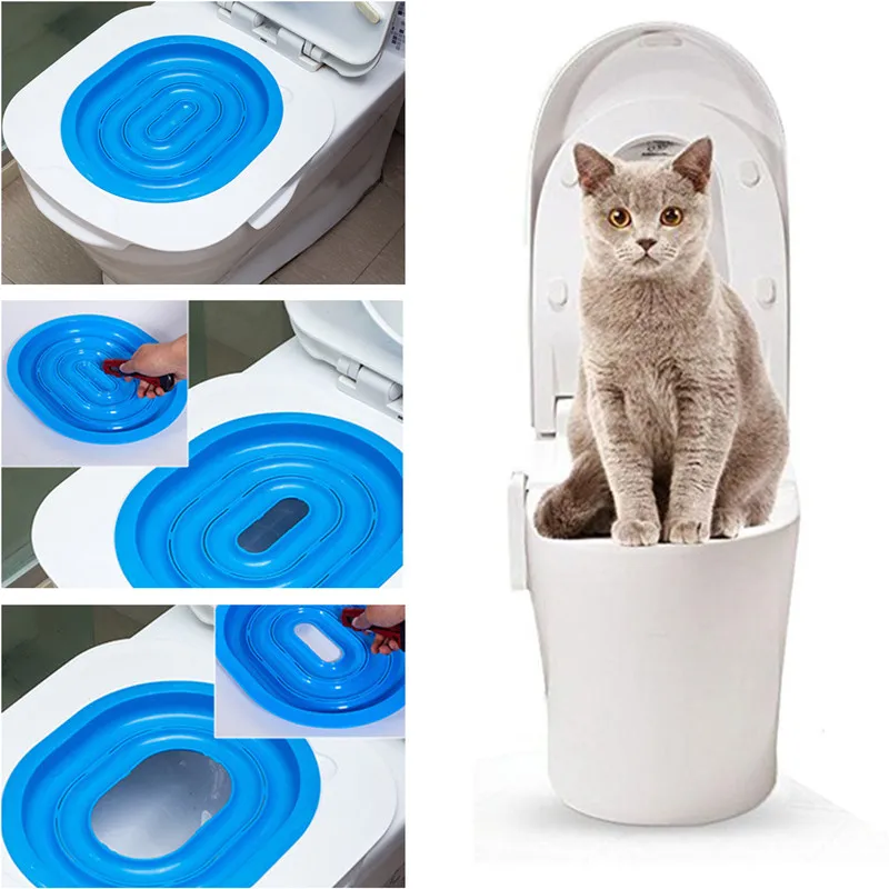 cat toilet