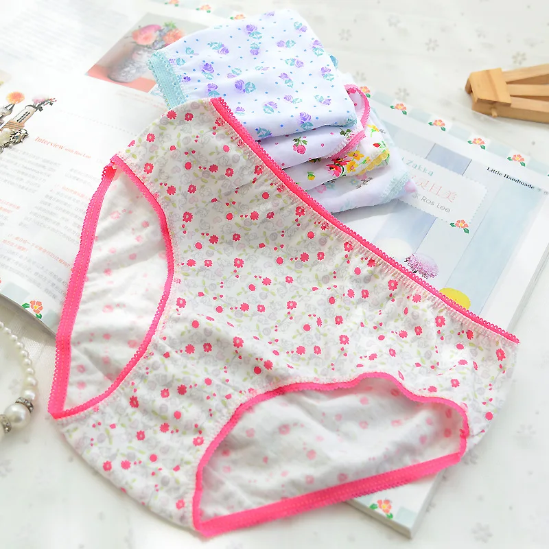 4 pcs/lot baby kids girls underwear briefs panties short colorful panties children cotton briefs ctnn0001
4 pcs/lot baby kids girls underwear briefs panties short colorful panties children cotton briefs ctnn0001