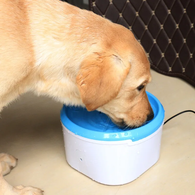 Pet Intelligent Automatic Induction Water Circulation Water Feeder Cat And Dog Automatic Water Dispenser
Pet Intelligent Automatic Induction Water Circulation Water Feeder Cat And Dog Automatic Water Dispenser