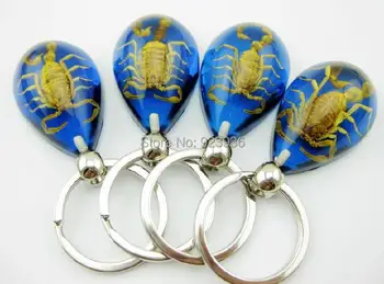 

free shipping 19pcs wholesale lots Real insect gold scorpion sea blue drop key-chains