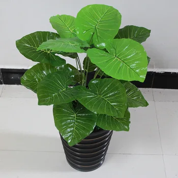 artificial 50cm 18 fork Bonsai Greenery Plant drip guanyin pattern Taro Green Willow artificial plants for home Decoration
artificial 50cm 18 fork Bonsai Greenery Plant drip guanyin pattern Taro Green Willow artificial plants for home Decoration