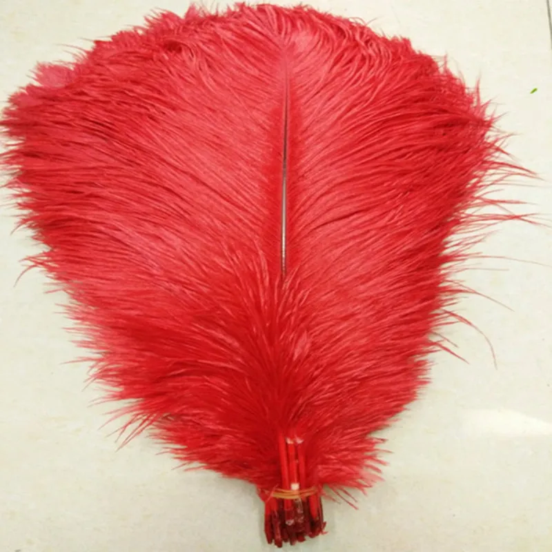 10 PCS natural red ostrich feather 40-45 cm / 16 to 18 inches feather performance art plume wedding decoration
10 PCS natural red ostrich feather 40-45 cm / 16 to 18 inches feather performance art plume wedding decoration