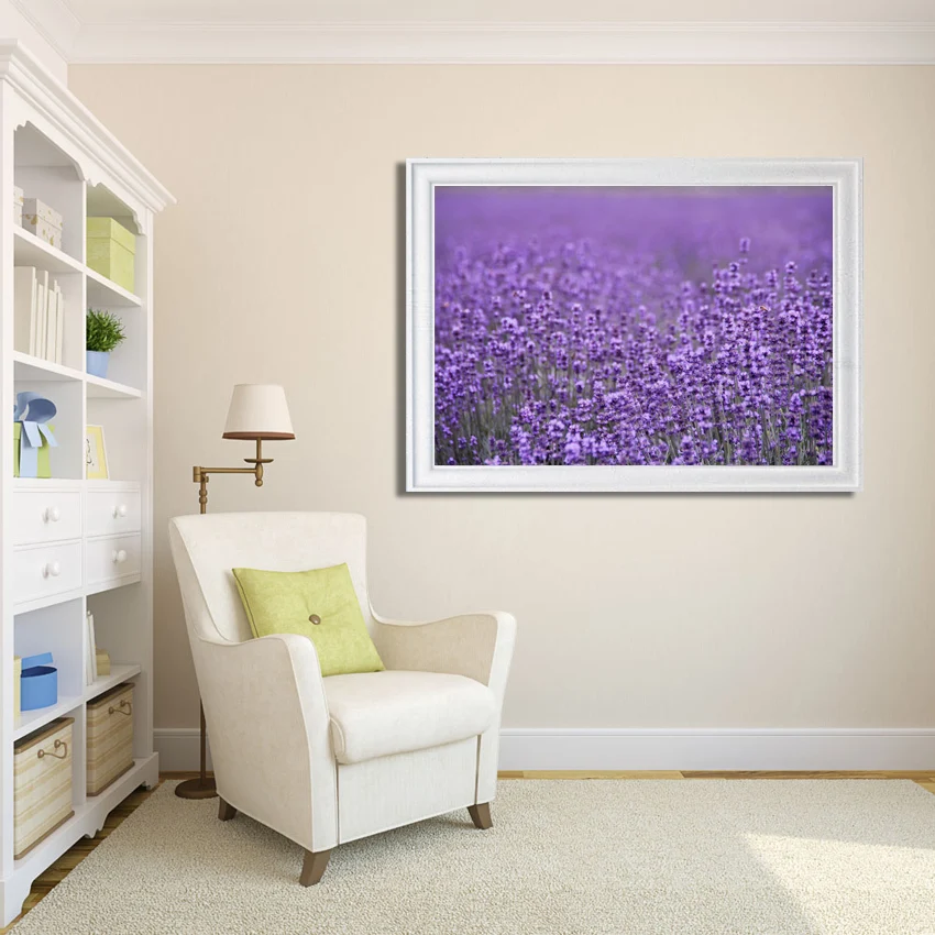 Modern canvas art Purple lavender fields pictures Home decortive Paintings on the wall Canvas art For Living Room Poster
Modern canvas art Purple lavender fields pictures Home decortive Paintings on the wall Canvas art For Living Room Poster