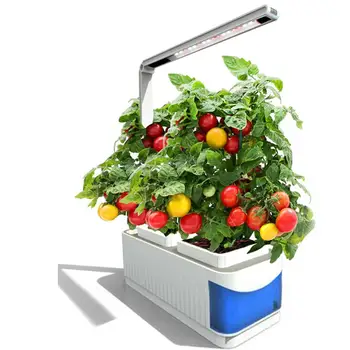 Adeeing LED Plant Grow Light Bulb Spectrum LED Grow Light Greenhouse plants led light with Hydroponic Box for Indoor Planting
Adeeing LED Plant Grow Light Bulb Spectrum LED Grow Light Greenhouse plants led light with Hydroponic Box for Indoor Planting