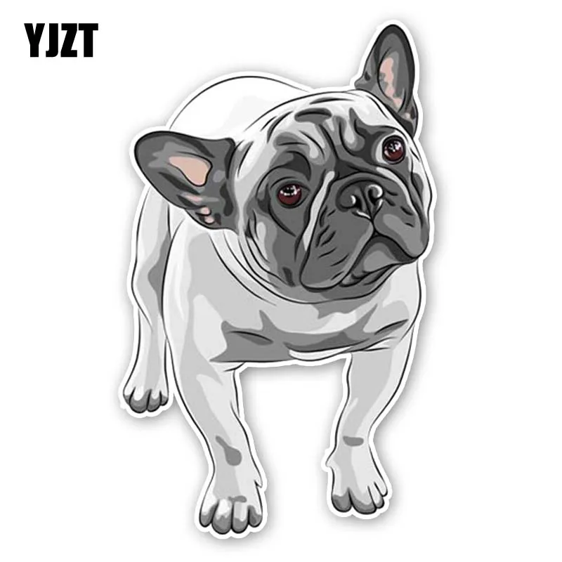 YJZT, 8,8 см * 14,3 см, Мультяшные креативные автомобильные наклейки из ПВХ размером 12-300159
YJZT, 8,8 см * 14,3 см, Мультяшные креативные автомобильные наклейки из ПВХ размером 12-300159