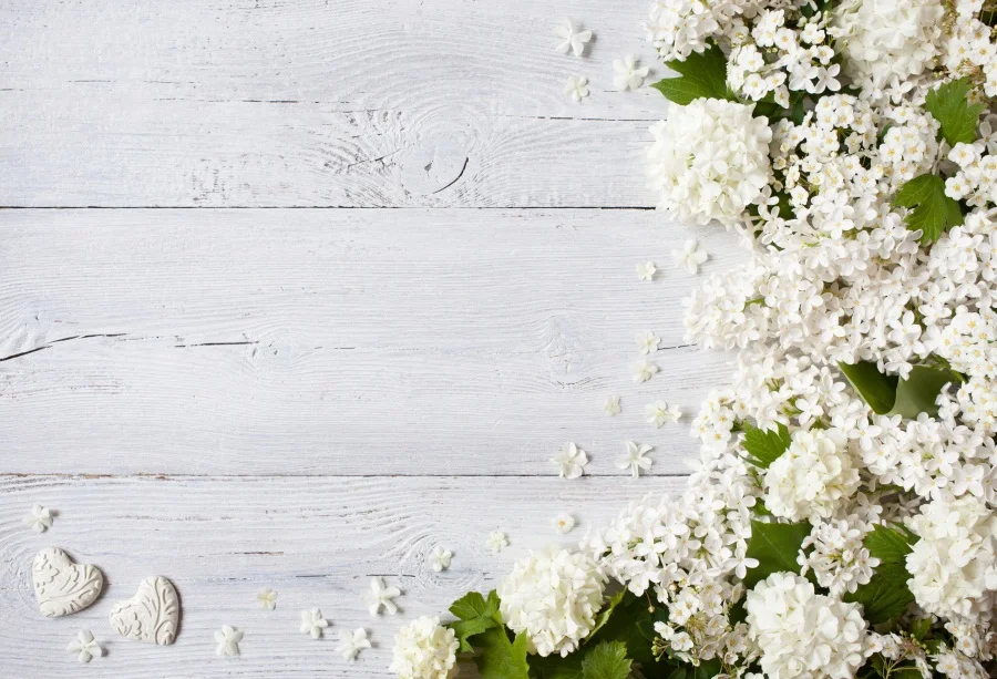 Laeacco Gray Wood Backgrounds Blossom Flower Petal Planks Board Doll Baby Newborn Portrait Photo Backdrop Photocall Photo Studio
Laeacco Gray Wood Backgrounds Blossom Flower Petal Planks Board Doll Baby Newborn Portrait Photo Backdrop Photocall Photo Studio