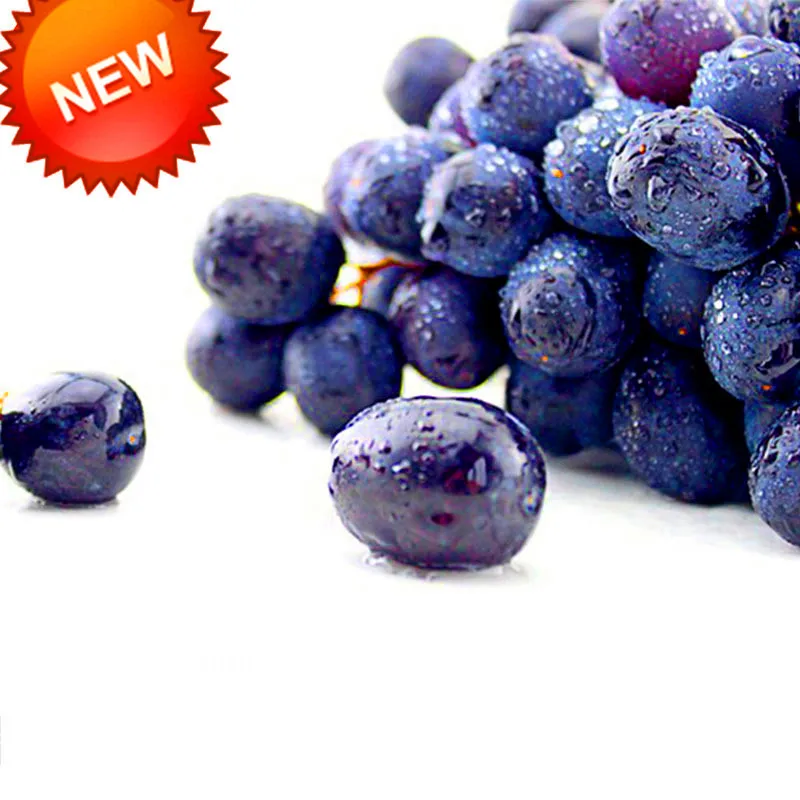 Hot Sale!100 PCS/Lot floresless Black Grape Bonsai Advanced Fruit plantas Natural Growth Kyoho Gardening Fruit Plants,#627TB8
Hot Sale!100 PCS/Lot floresless Black Grape Bonsai Advanced Fruit plantas Natural Growth Kyoho Gardening Fruit Plants,#627TB8