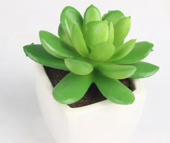 Artificial lovely small potted succulents Decoration modern minimalist home office desktop decorative bonsai artificial plant
Artificial lovely small potted succulents Decoration modern minimalist home office desktop decorative bonsai artificial plant