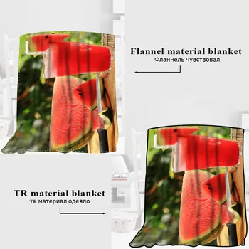 Custom Watermelon Blanket TR/ Flannel Fleece Fabric Blanket New Year Decoration Comfortable Warm Super Soft Bedroom
Custom Watermelon Blanket TR/ Flannel Fleece Fabric Blanket New Year Decoration Comfortable Warm Super Soft Bedroom
