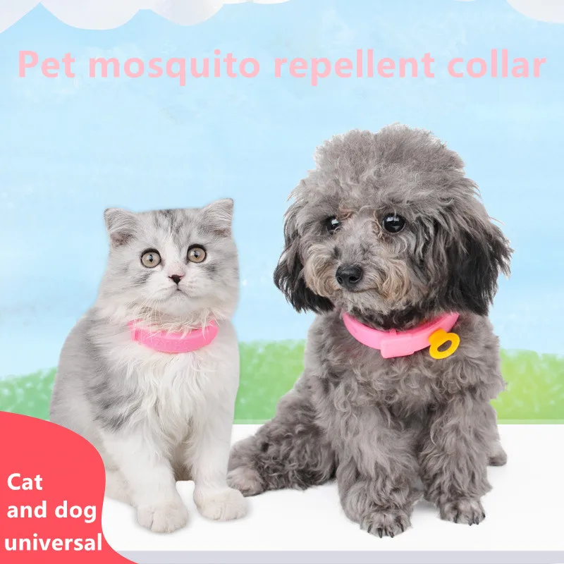 2PCS Pet Repellent Collar Mosquito Killer Cat And Dog Collar Remove Flea Mosquito Natural Essential Oil Anti-Mosquito Bracelet
2PCS Pet Repellent Collar Mosquito Killer Cat And Dog Collar Remove Flea Mosquito Natural Essential Oil Anti-Mosquito Bracelet