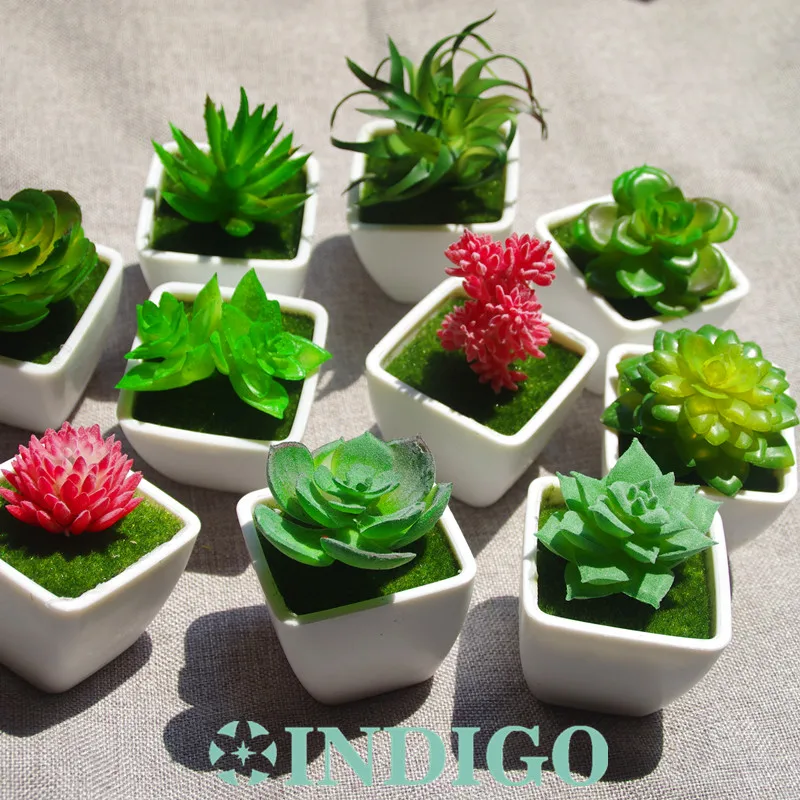 INDIGO- Mini FROSTLIKE Artificial Succulent (1 set=1 Plant+1 Vase) Potting Set Plastic Flower Table Green Plant Free Shipping
INDIGO- Mini FROSTLIKE Artificial Succulent (1 set=1 Plant+1 Vase) Potting Set Plastic Flower Table Green Plant Free Shipping