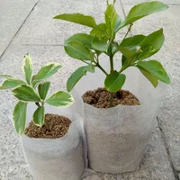 Disposable Nursery Pots Seedling Non Woven Garden Supplies Planting Bag 100 Pcs Degradable Fabric Bags image