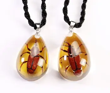 Free Shipping 10 Pendants Charming Handmade Real Bug Insect MINI Magic Specimen
Free Shipping 10 Pendants Charming Handmade Real Bug Insect MINI Magic Specimen