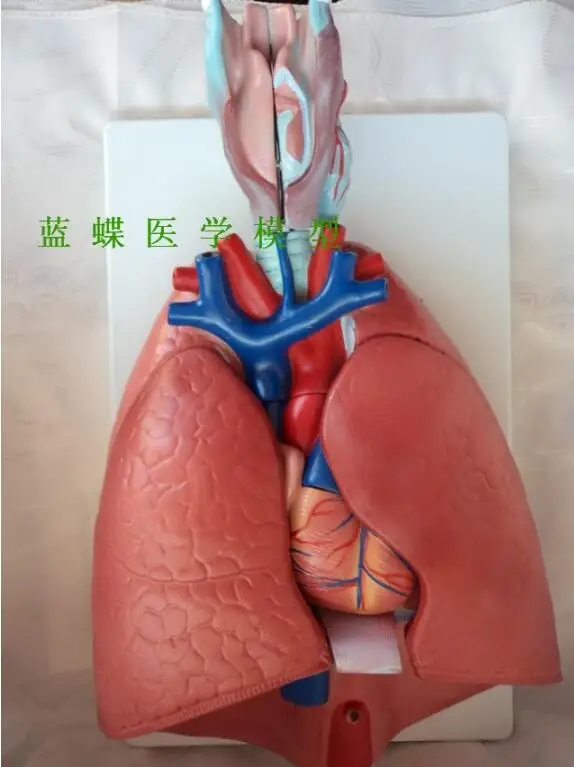 QQ20180714215933
