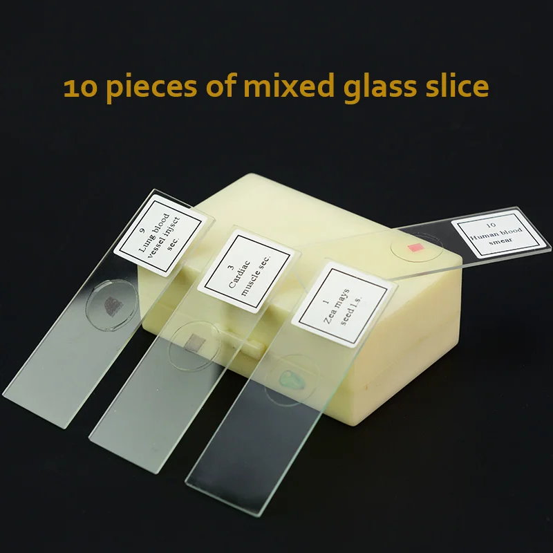 10 pieces Prepared Glass Microscope Slides for science education students learning teacher teaching
10 pieces Prepared Glass Microscope Slides for science education students learning teacher teaching