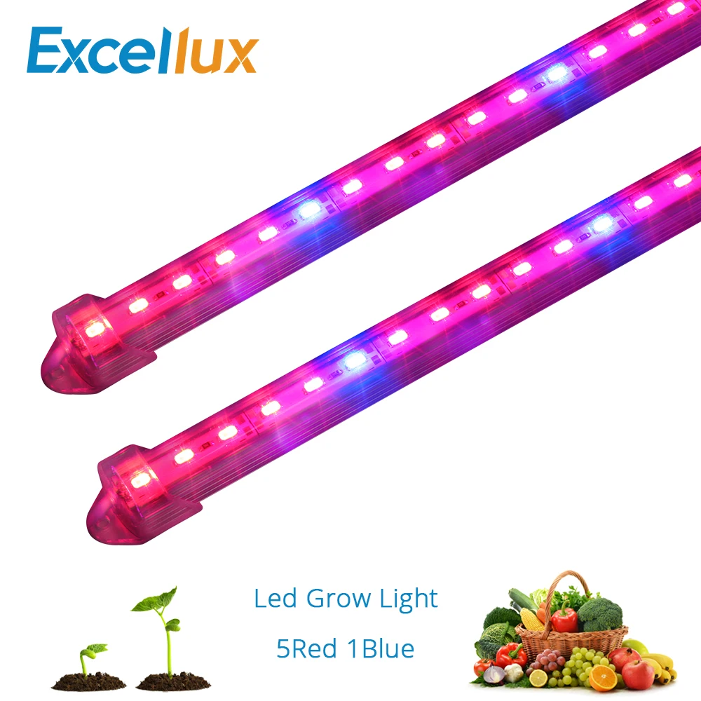 2PCS LED Grow Light Set with Adapter PC Cover/Waterproof Full Spectrum LED bar light Greenhouse Indoor Plant Lamp 5 red 1 blue
2PCS LED Grow Light Set with Adapter PC Cover/Waterproof Full Spectrum LED bar light Greenhouse Indoor Plant Lamp 5 red 1 blue
