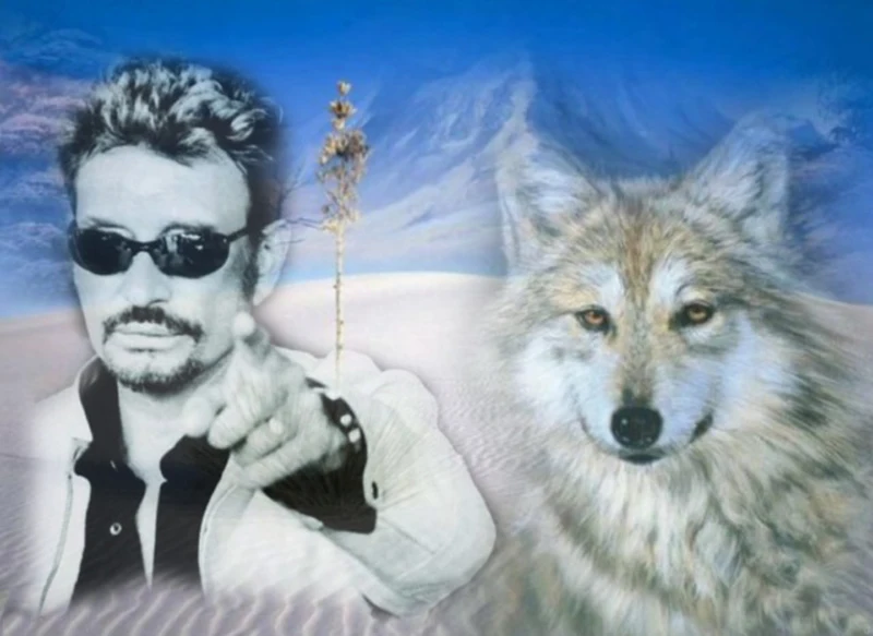 DIY diamond painting Superstar singer johnny hallyday cross stitch round Rhinestones embroidery Snow Wolf Full diamond painting
DIY diamond painting Superstar singer johnny hallyday cross stitch round Rhinestones embroidery Snow Wolf Full diamond painting
