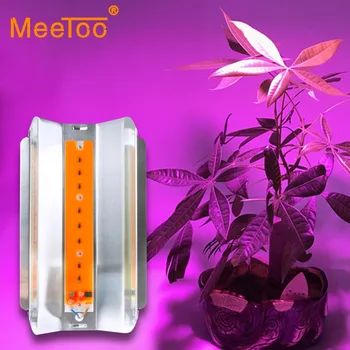 Full Spectrum LED Phyto Lamp High Power 30W 50W 80W LED Grow Light Waterproof 110V 220V For Indoor Plants Greenhouse Hydroponic
Full Spectrum LED Phyto Lamp High Power 30W 50W 80W LED Grow Light Waterproof 110V 220V For Indoor Plants Greenhouse Hydroponic